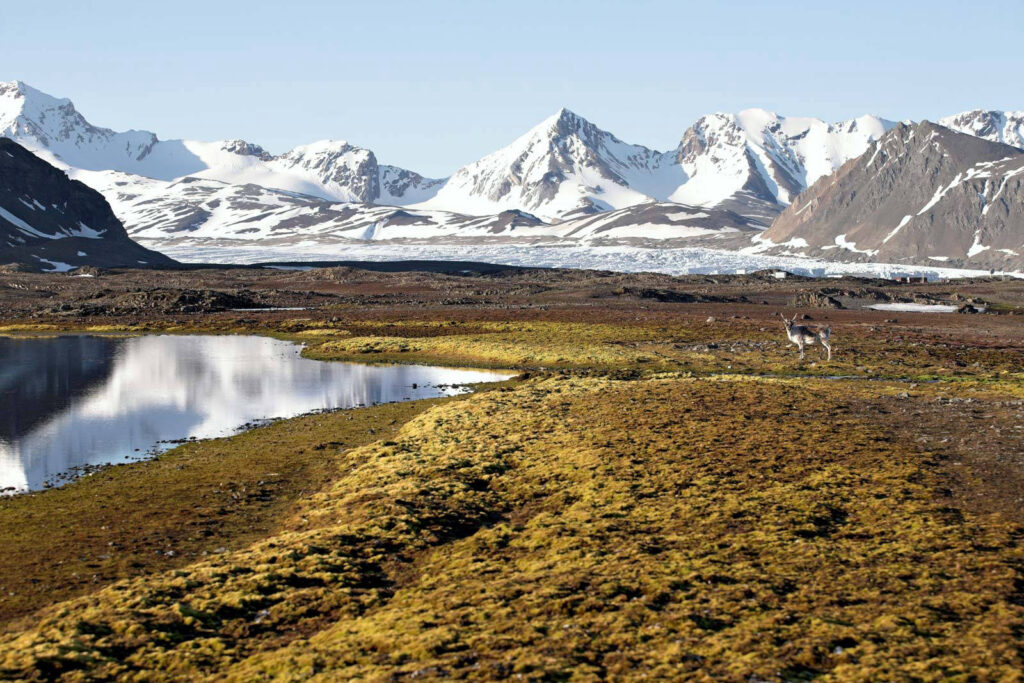 Zeilvakantie in Noorwegen en Spitsbergen met de Noorderlicht